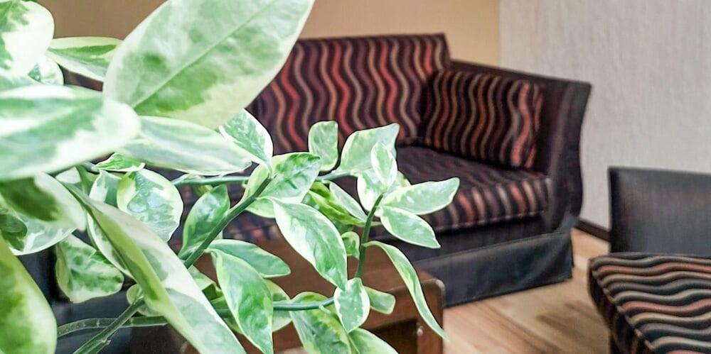 Hotel Terranova ليون المظهر الخارجي الصورة